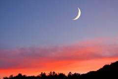 quarter moon.jpg