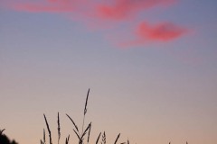 sunset quarter moon.jpg