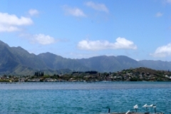 Jans view2
