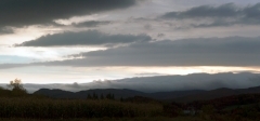 Rchfd Crn Field